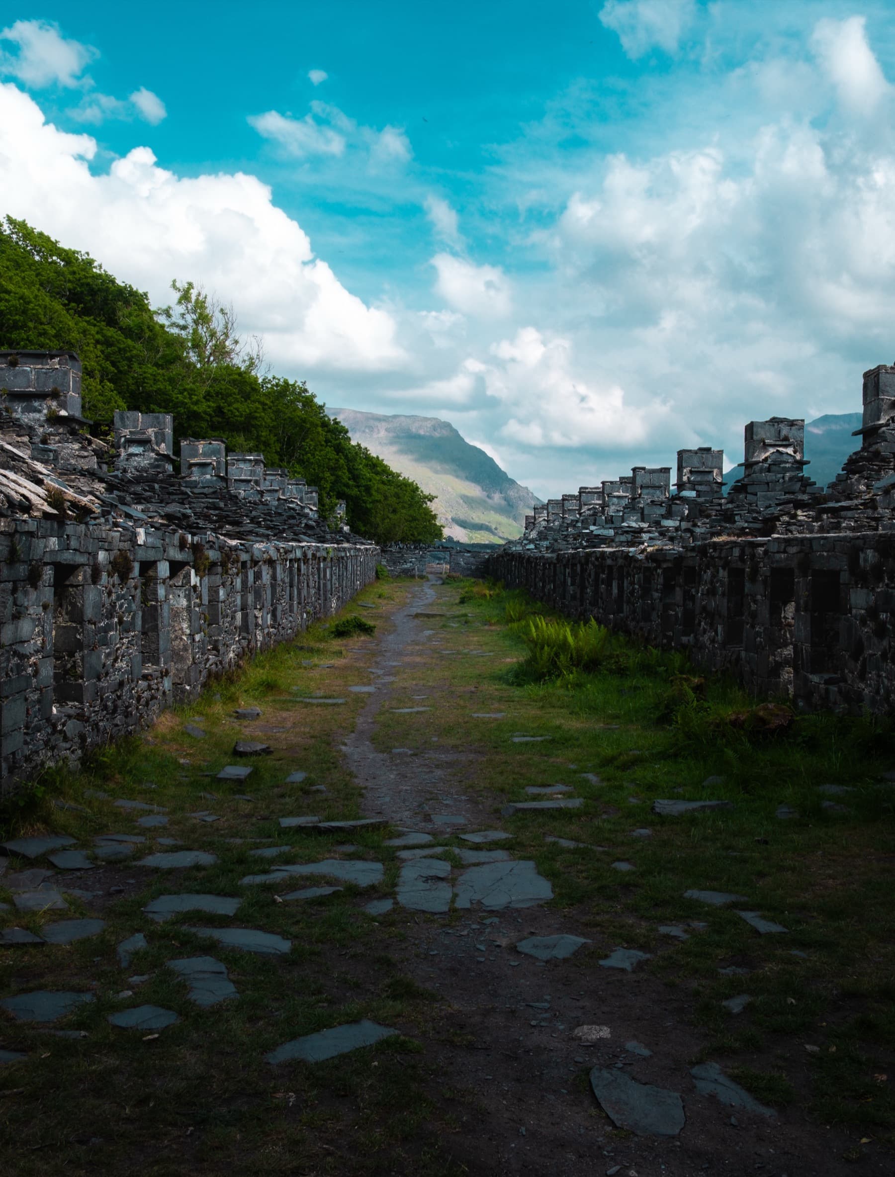 Overgrown path between rows of ruined slate quarry barracks with mountains and summer clouds ahead
