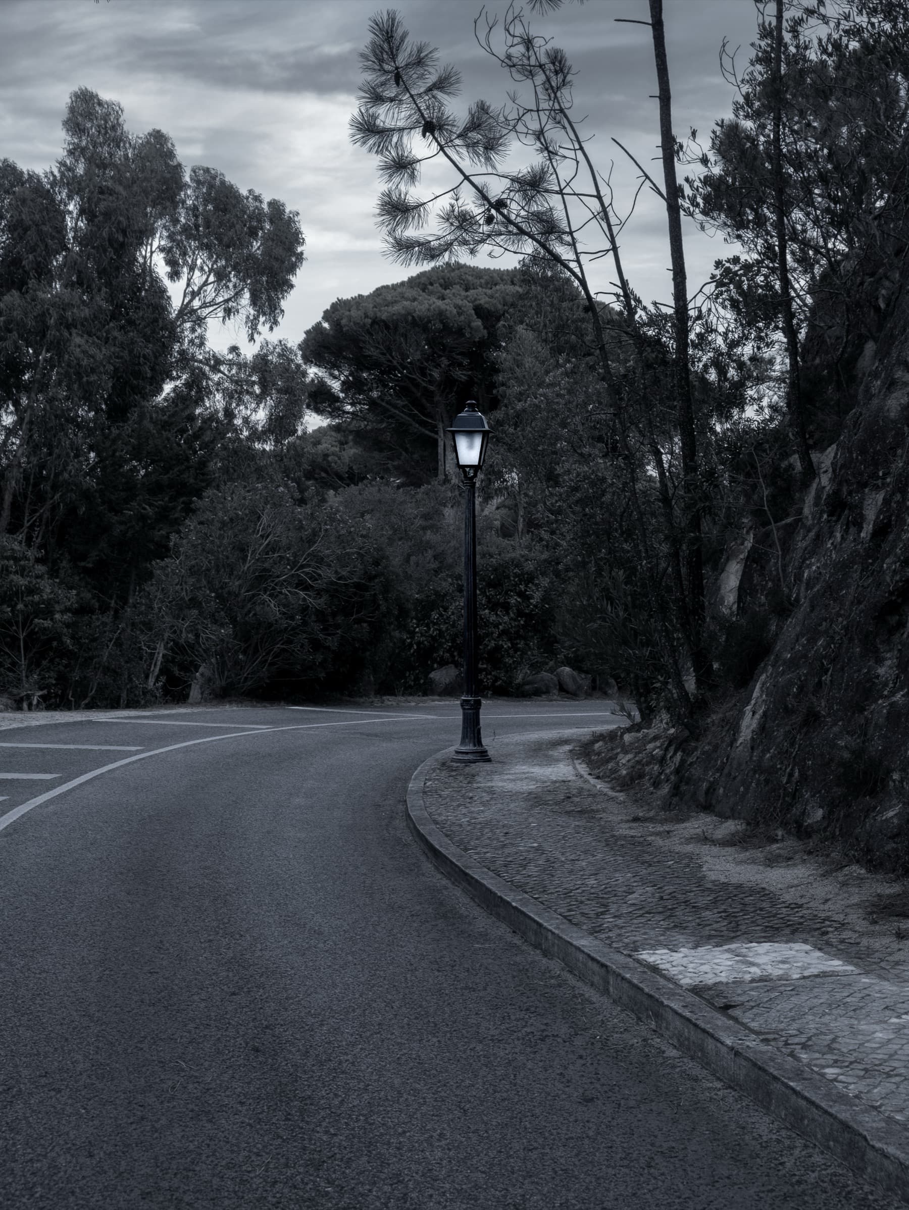 Lone street lamp glowing on a winding road lined with trees under an overcast sky in muted blue tones