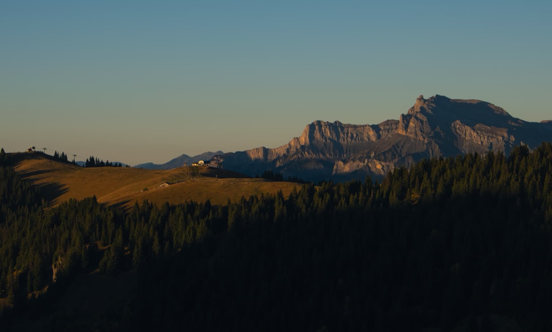 Golden evening light catching alpine meadows and pine forests with a dramatic rocky cliff face rising in the distance